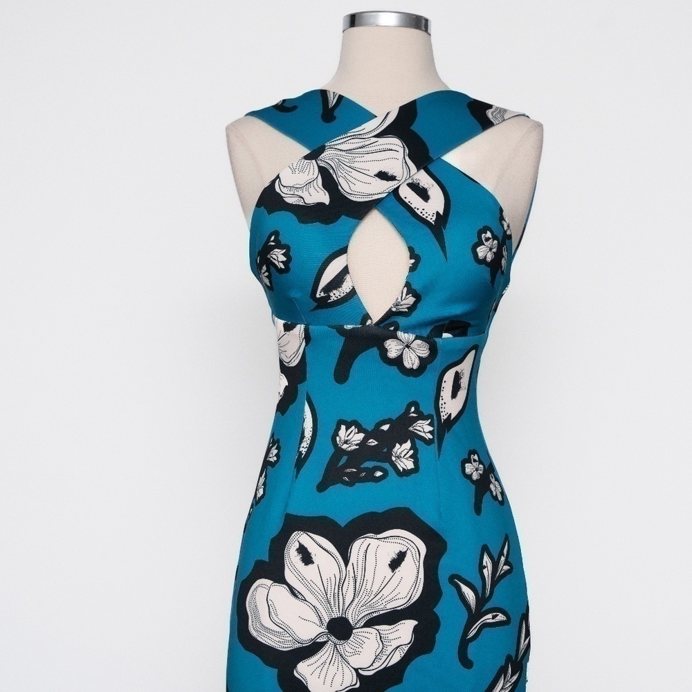 Kimberly Goldson. Chrissi peppermint floral sheath dress.‎ - Picture 5 of 16